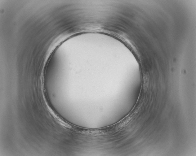 X0000059041432200510281531