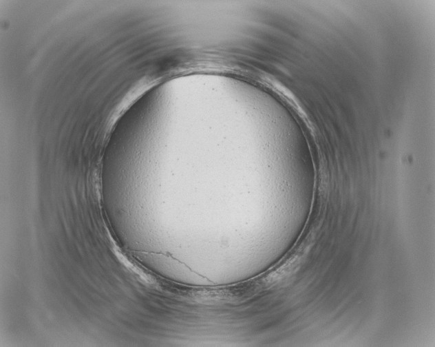 X0000059041433200510281531