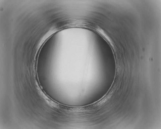 X0000059041434200510281531