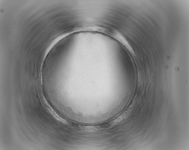 X0000059041436200510281531