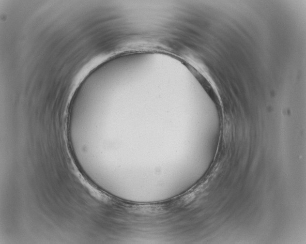 X0000059041437200510281531