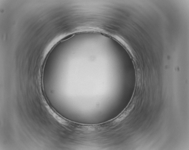 X0000059041438200510281531