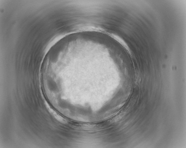 X0000059041439200510281531