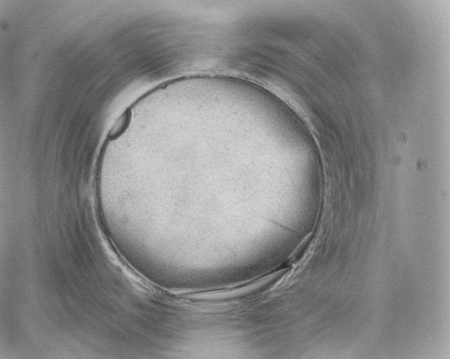 X0000059041440200510281531