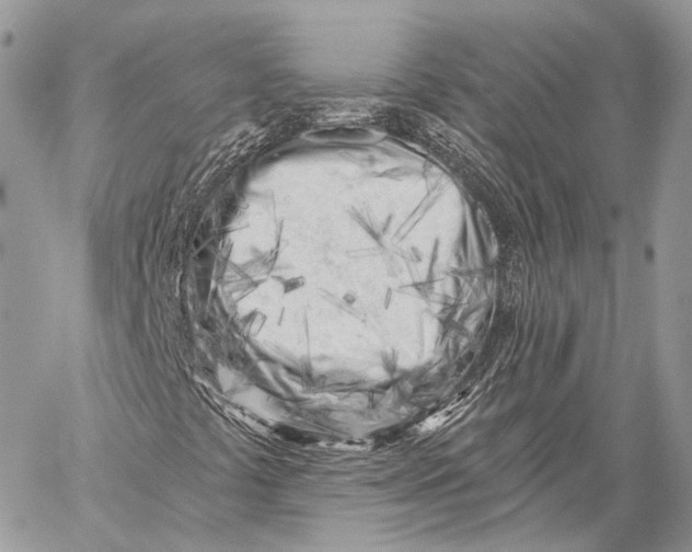 X0000059041441200510281530