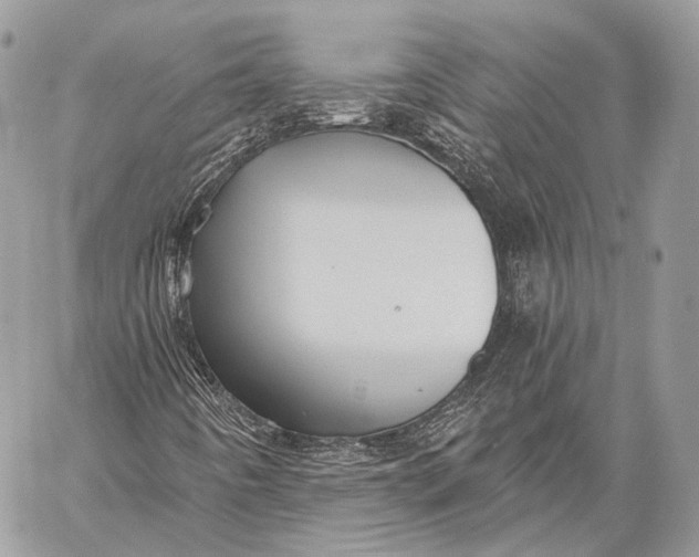 X0000059041442200510281530