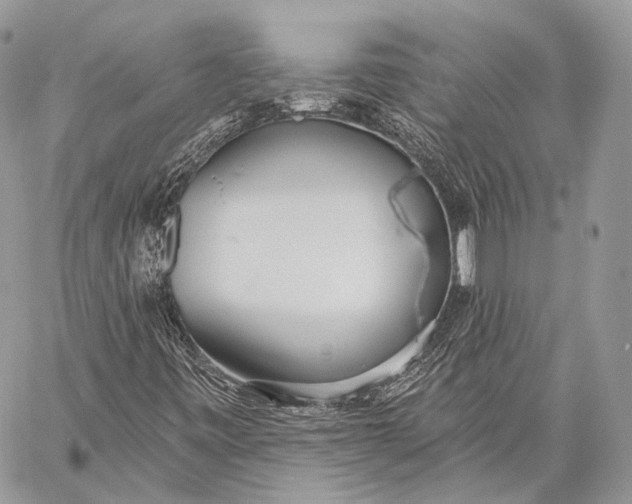 X0000059041443200510281530