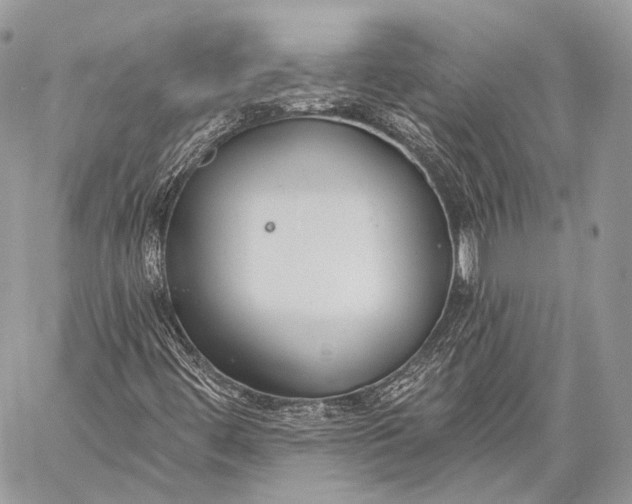 X0000059041444200510281530