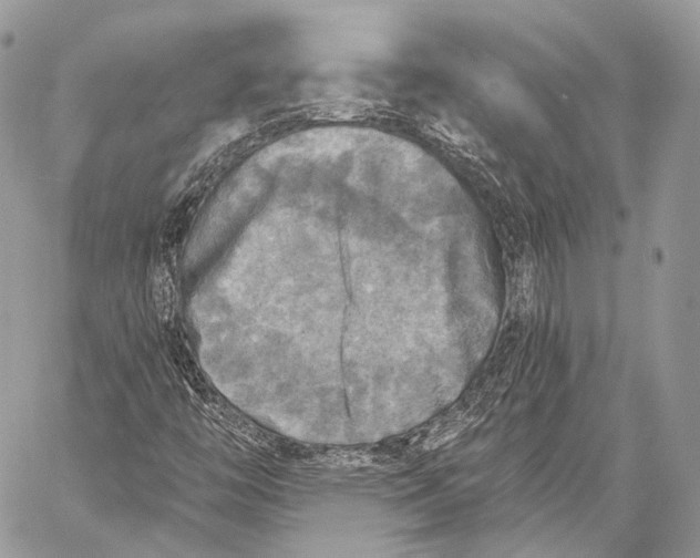 X0000059041446200510281530