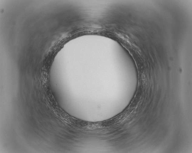 X0000059041447200510281530