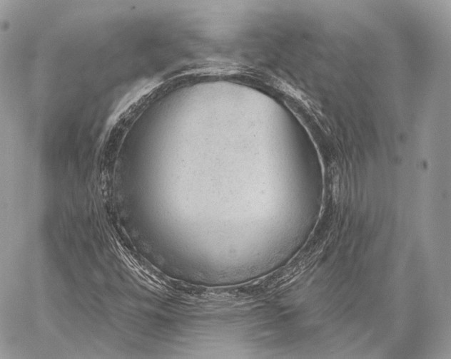 X0000059041448200510281530