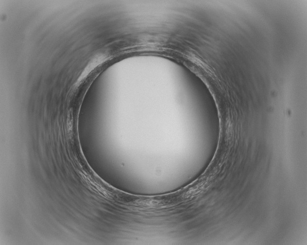 X0000059041450200510281530