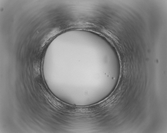 X0000059041451200510281530