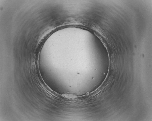 X0000059041452200510281530