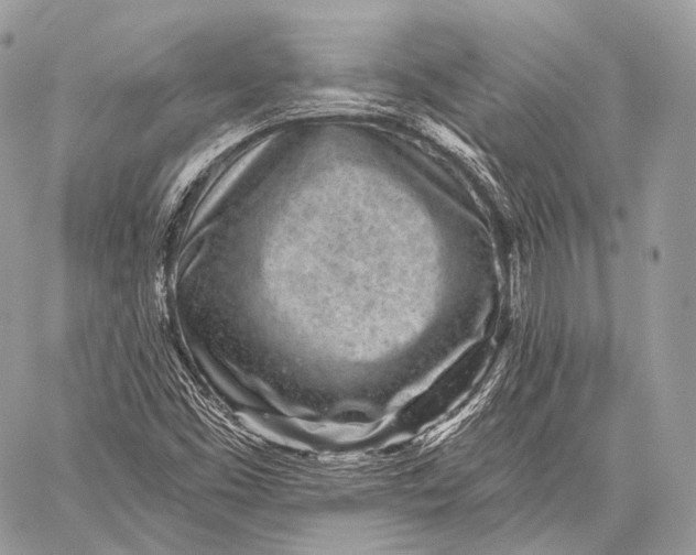 X0000059041453200510281530