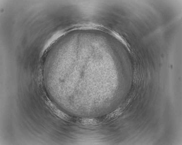 X0000059041456200510281530