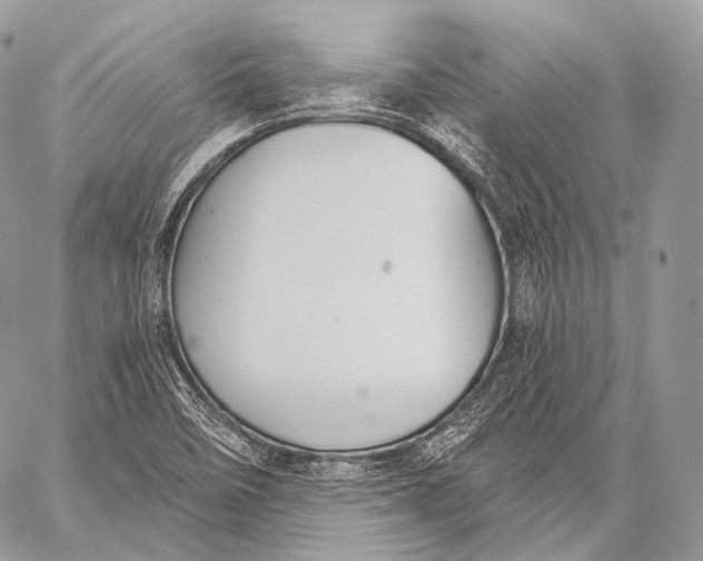 X0000059041458200510281530