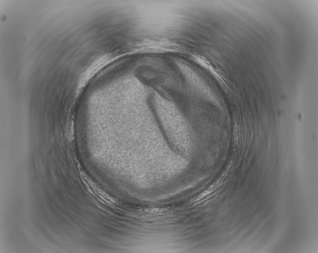 X0000059041459200510281530