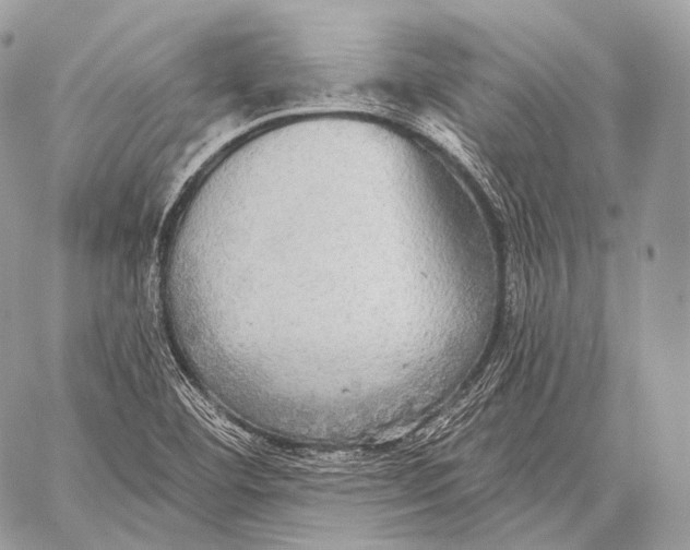 X0000059041460200510281530