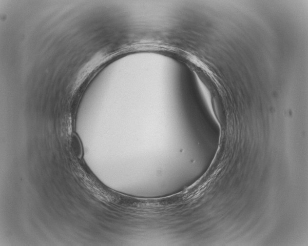 X0000059041461200510281530