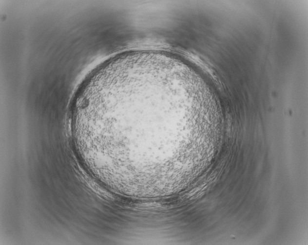 X0000059041462200510281530