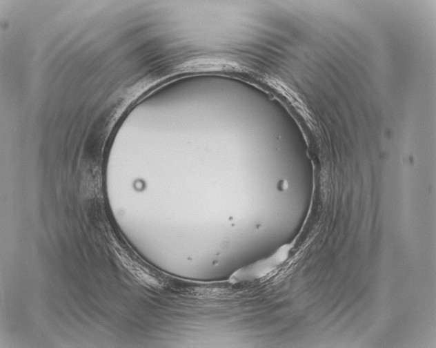 X0000059041465200510281530