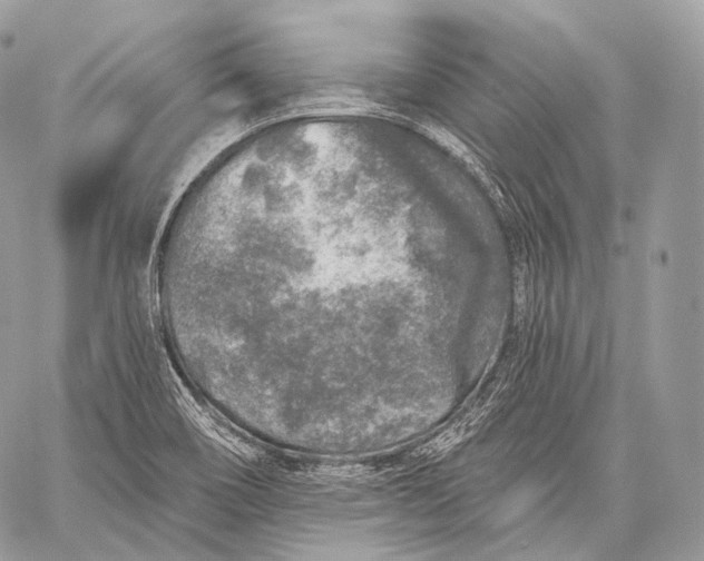 X0000059041466200510281530