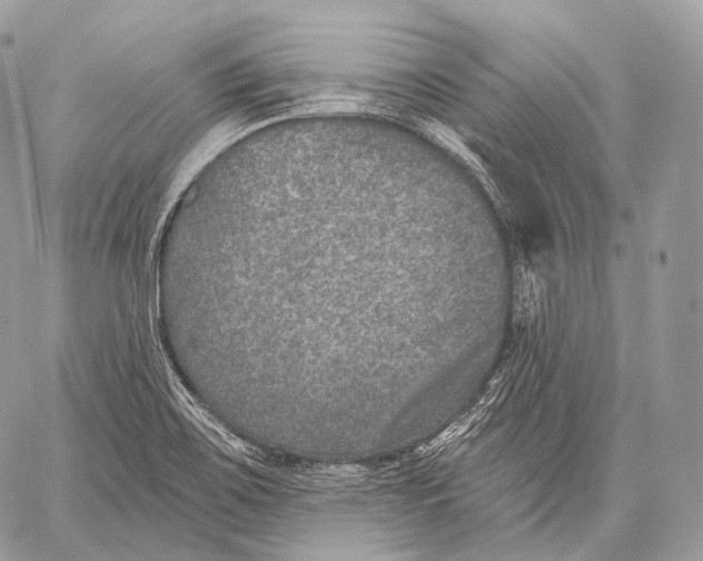 X0000059041467200510281530