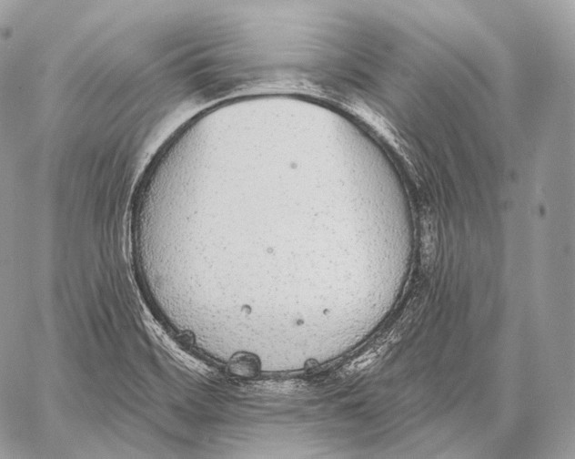 X0000059041468200510281530