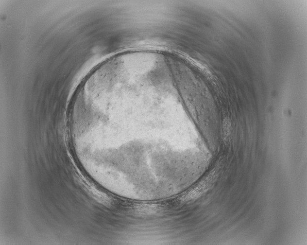 X0000059041470200510281530