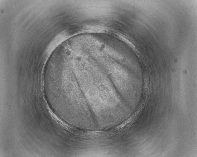 X0000059041471200510281530