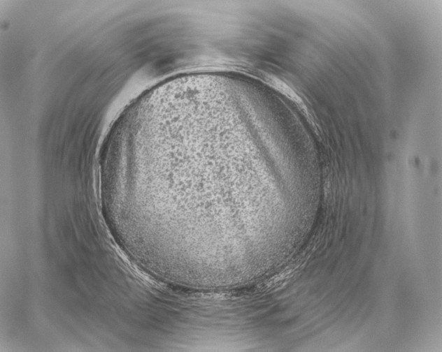 X0000059041472200510281530