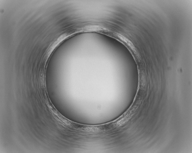 X0000059041473200510281530