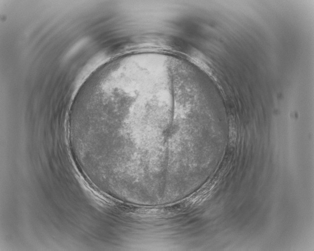 X0000059041474200510281530