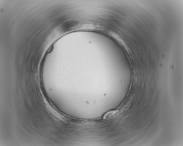 X0000059041475200510281530