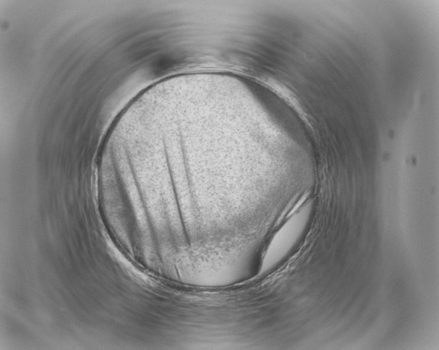 X0000059041476200510281530