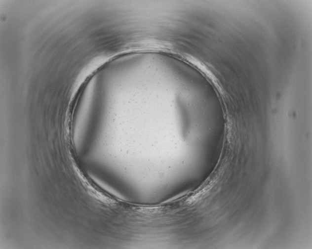 X0000059041477200510281530