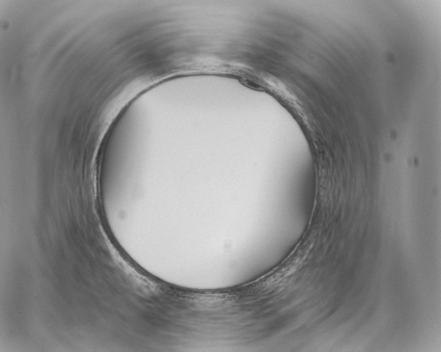 X0000059041479200510281530