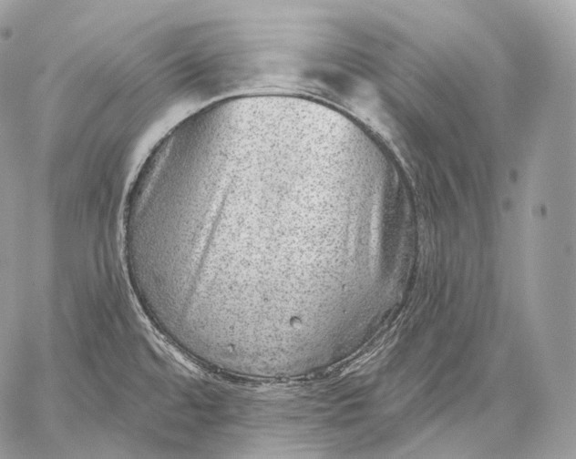 X0000059041480200510281530