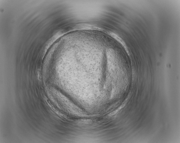 X0000059041481200510281530