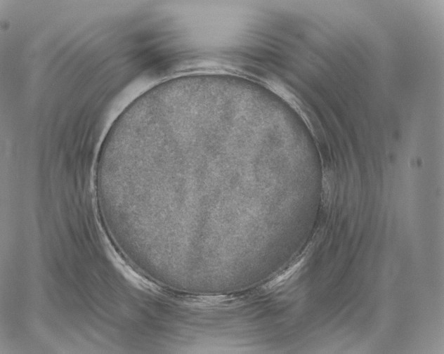 X0000059041482200510281530