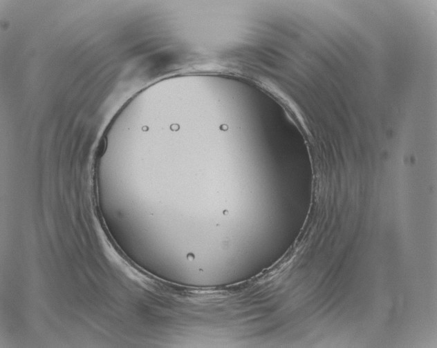 X0000059041483200510281529