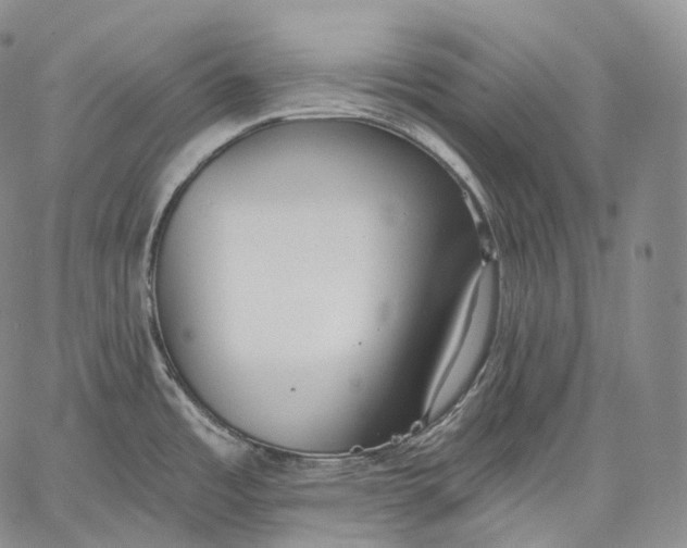 X0000059041485200510281529