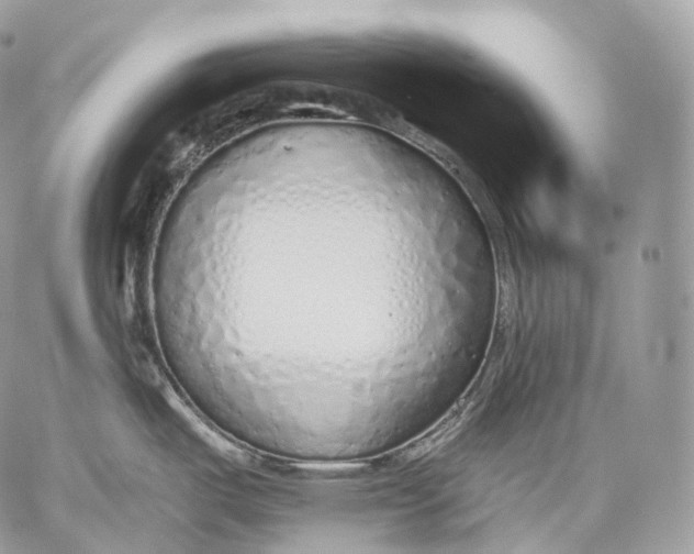 X0000059041487200510281529