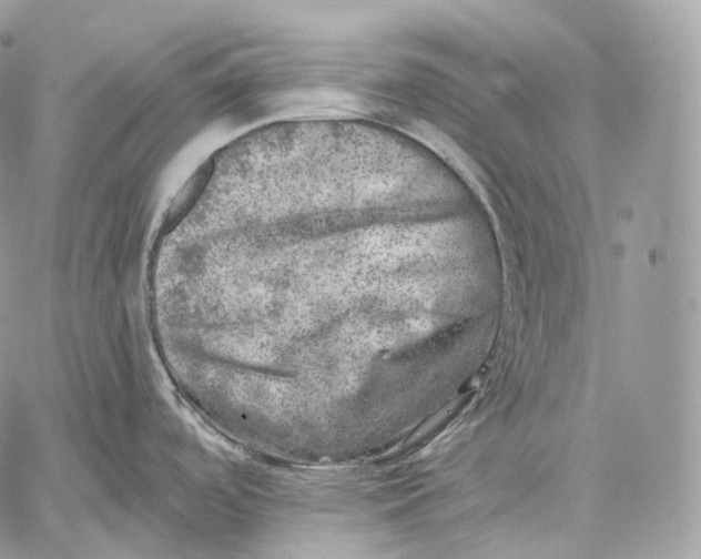 X0000059041488200510281529