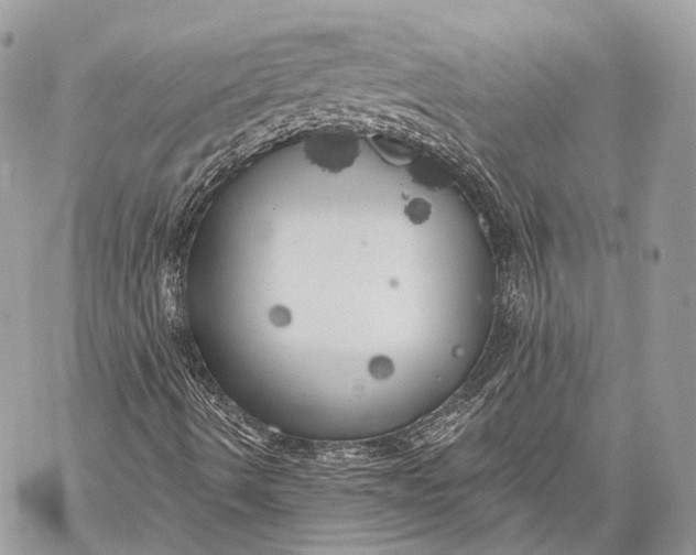 X0000059041490200510281529