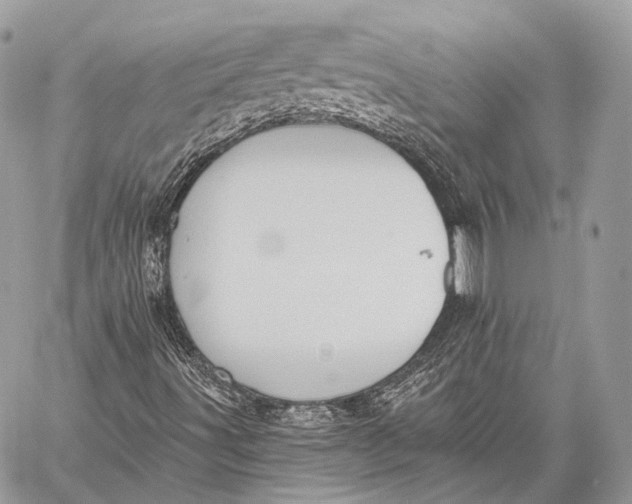 X0000059041491200510281529