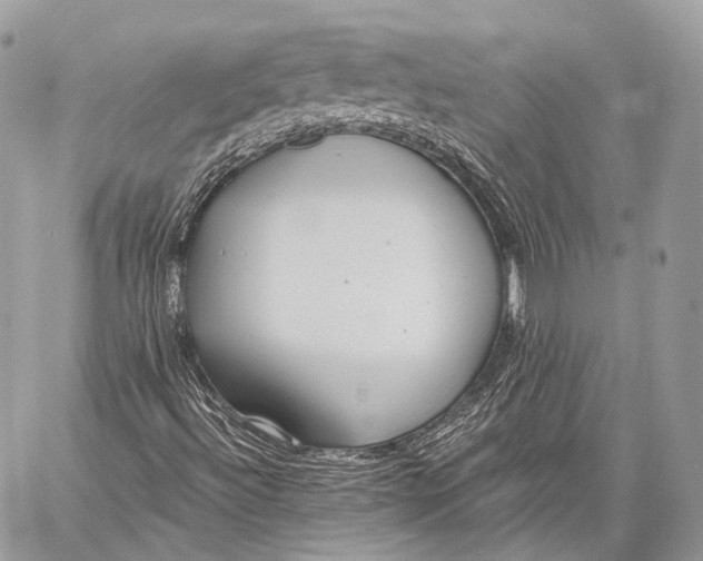 X0000059041492200510281529