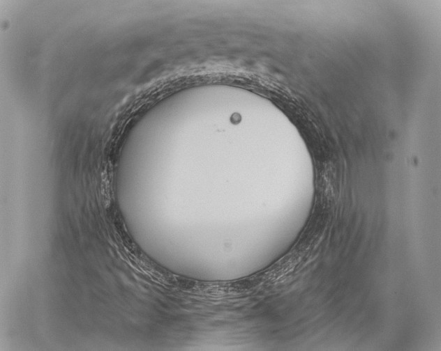 X0000059041493200510281529