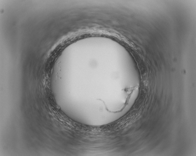 X0000059041495200510281529